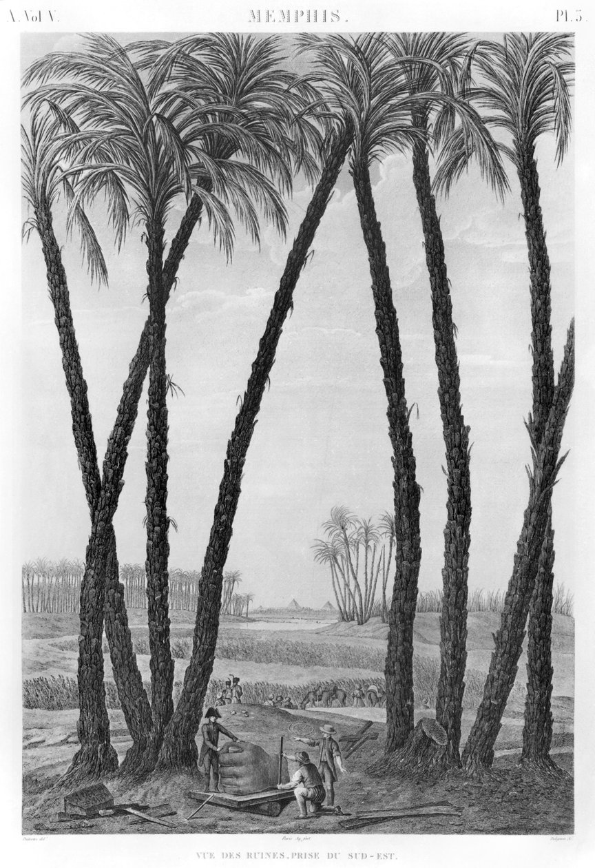 Uitzicht op de ruïnes van Memphis gezien vanuit het zuidoosten, gegraveerd door Jean Louis Delignon (1755-1804) door Andre Dutertre