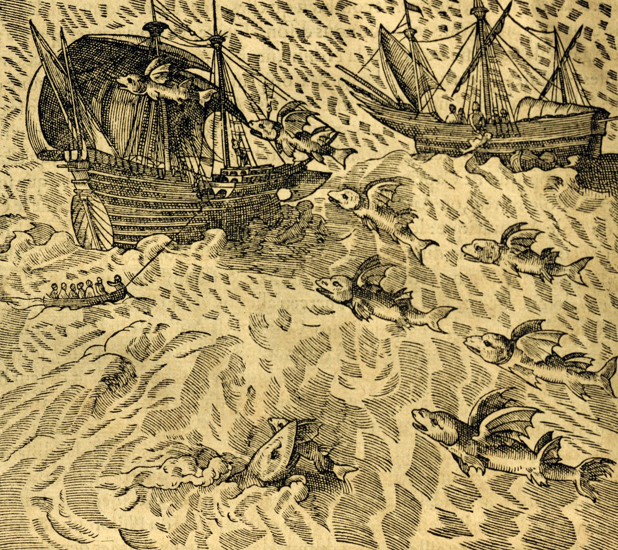 Vliegende vissen in tropische zeeën, gravure uit Cosmographie Universelle, door André Thevet (1504-1592), Parijs door Andre Thevet
