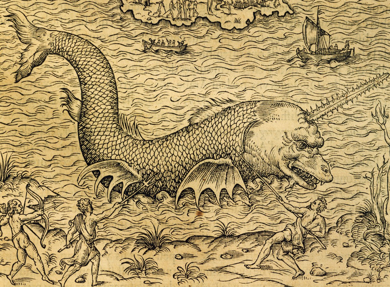 Zee monster, gravure uit Universele Kosmologie, door Andre Thevet (1504-1592), Parijs door Andre Thevet