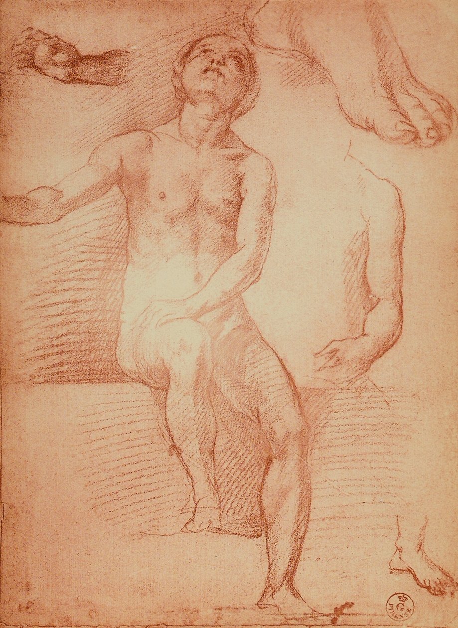 Studie van een naaktfiguur en menselijke ledematen, tekening door Andrea del Sarto door Andrea del Sarto