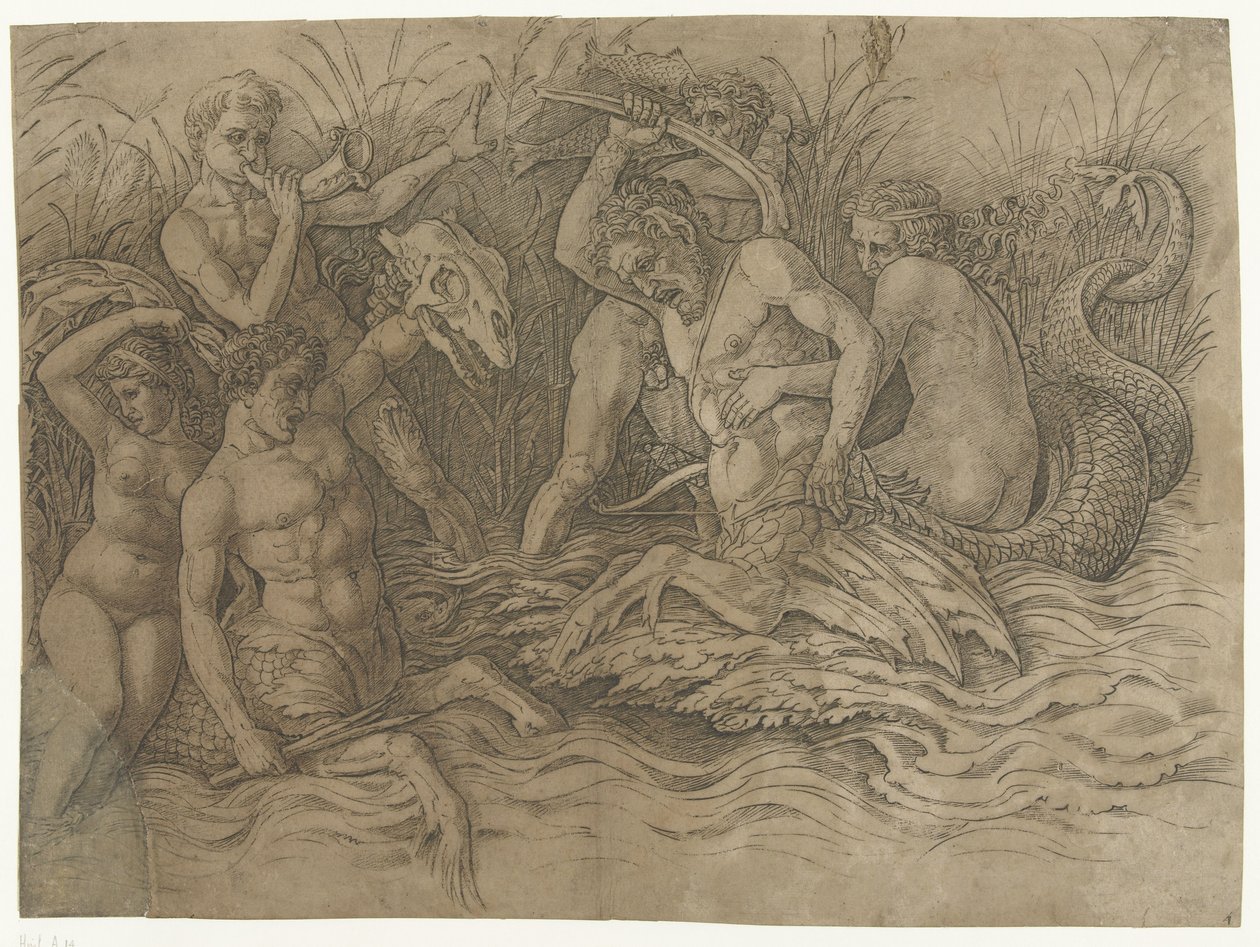 Gevecht tussen tritons met nereïden op hun rug door Andrea Mantegna