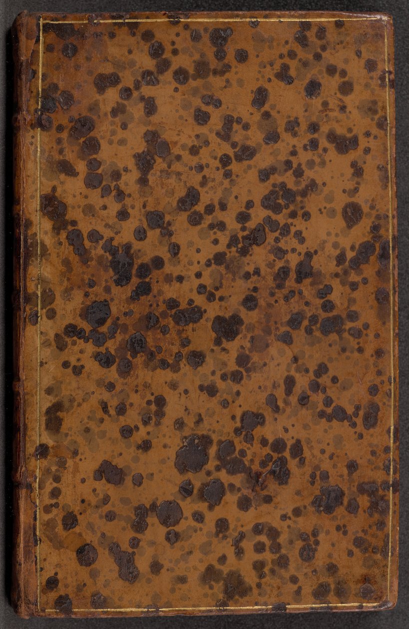 Het eerste boek van Andrea Palladio