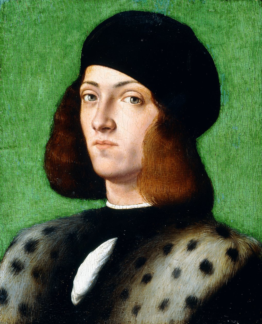 Portret van een jonge Heer, borstbeeld, met een zwarte pet en zwarte jas, 1506 door Andrea Previtali