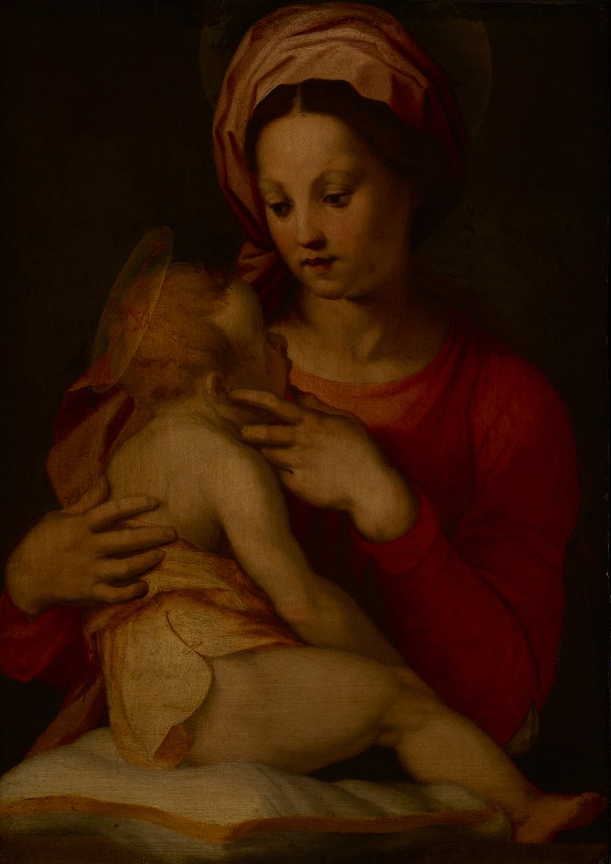 De Madonna en Kind door Andrea del (attr.to) Sarto
