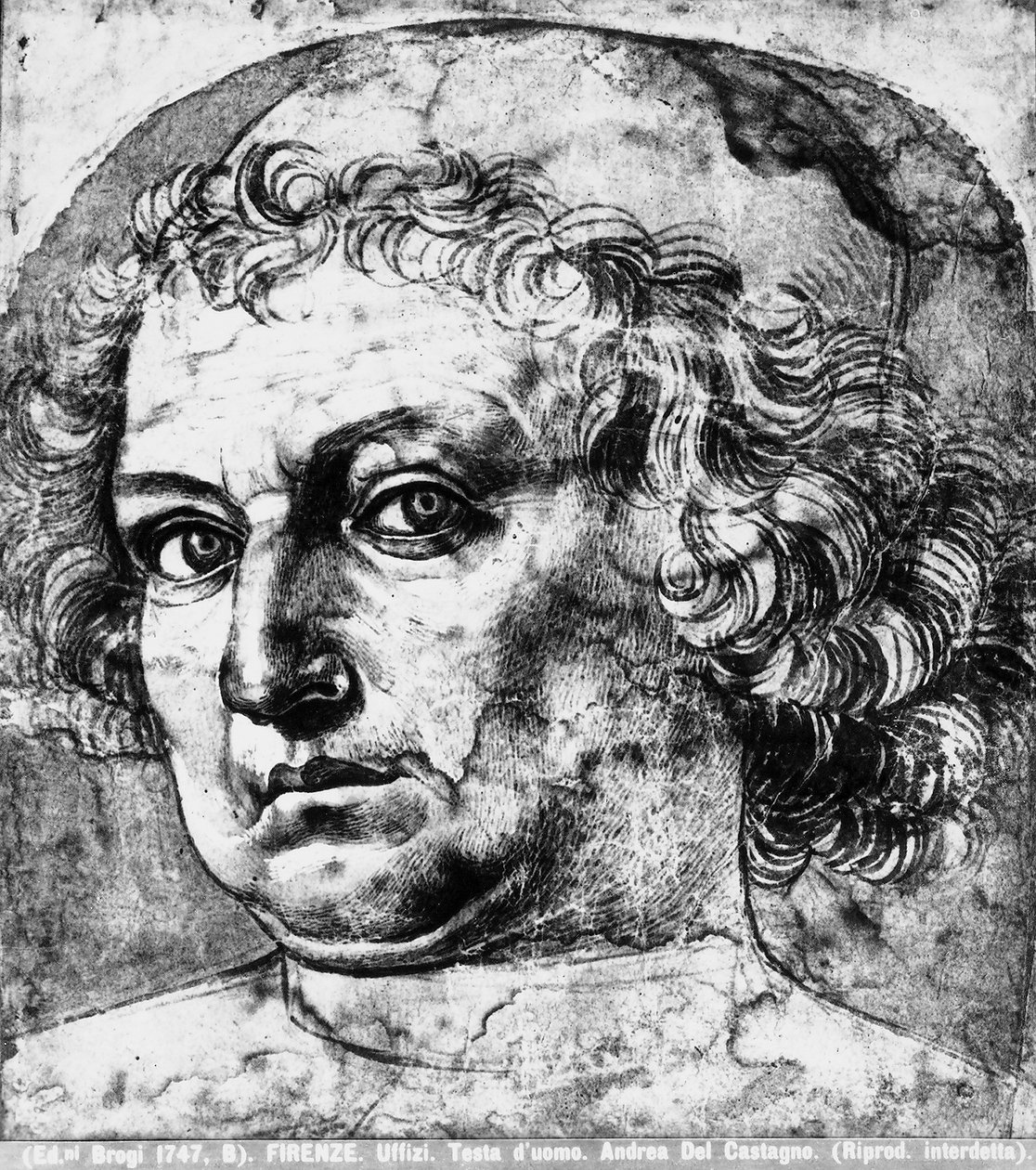 Mans hoofd, of portret van Andrea del Verrocchio, ca. 1450 door Andrea del Castagno