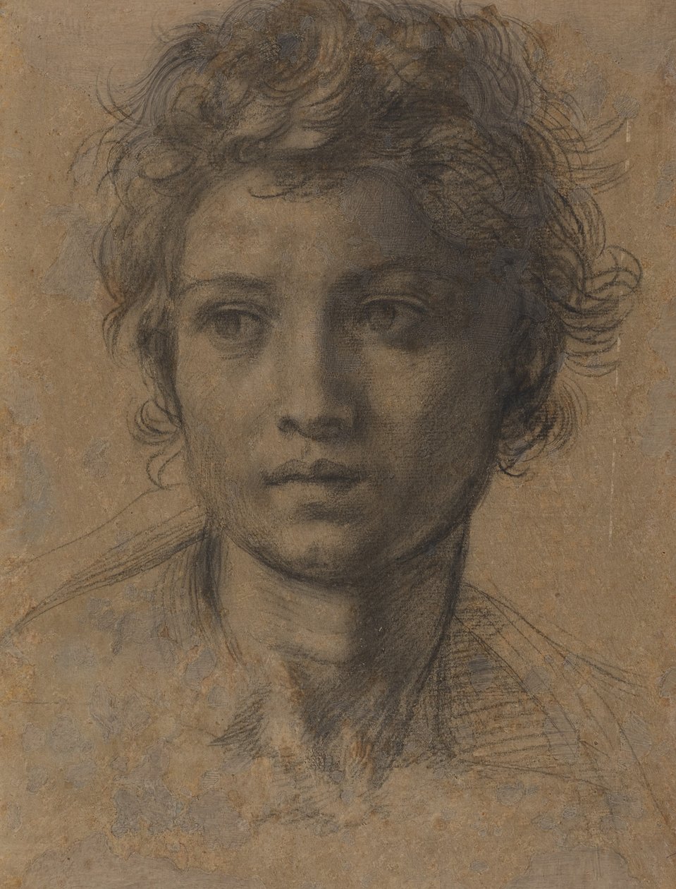 Hoofd van Johannes de Doper door Andrea del Sarto