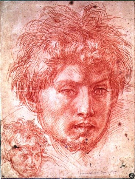 Hoofd van een man door Andrea del Sarto