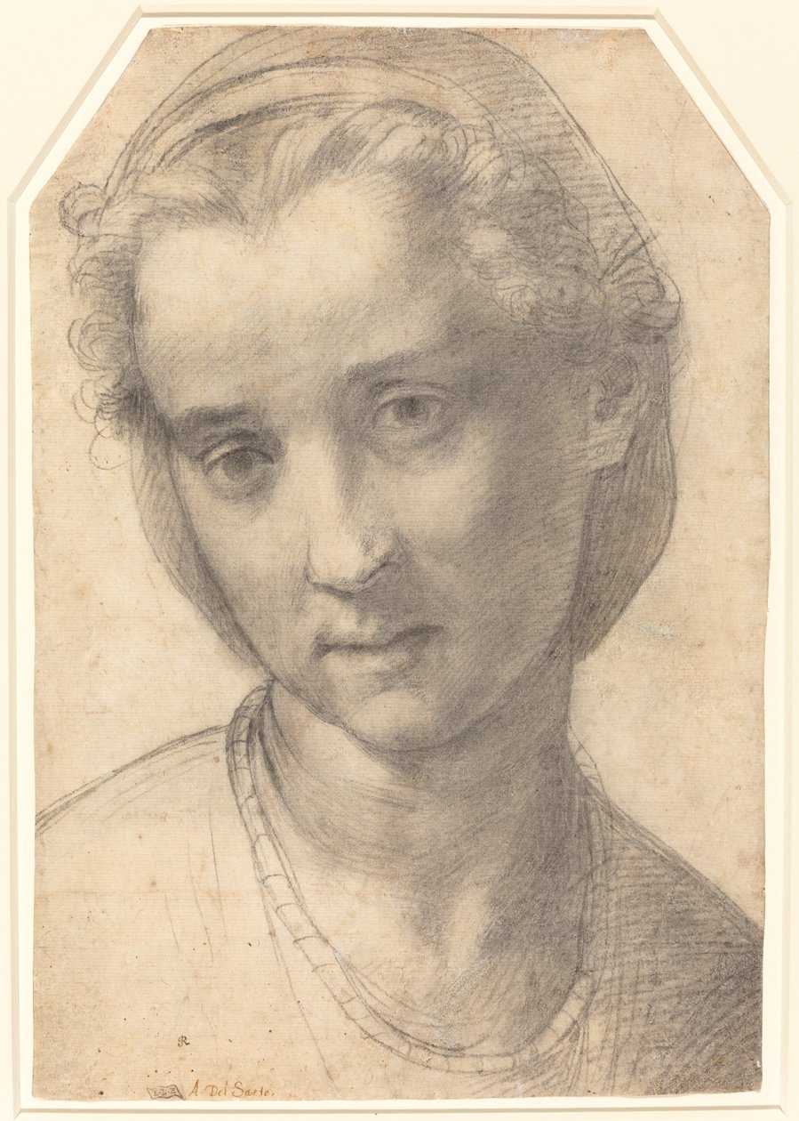 Hoofd van een Vrouw door Andrea del Sarto