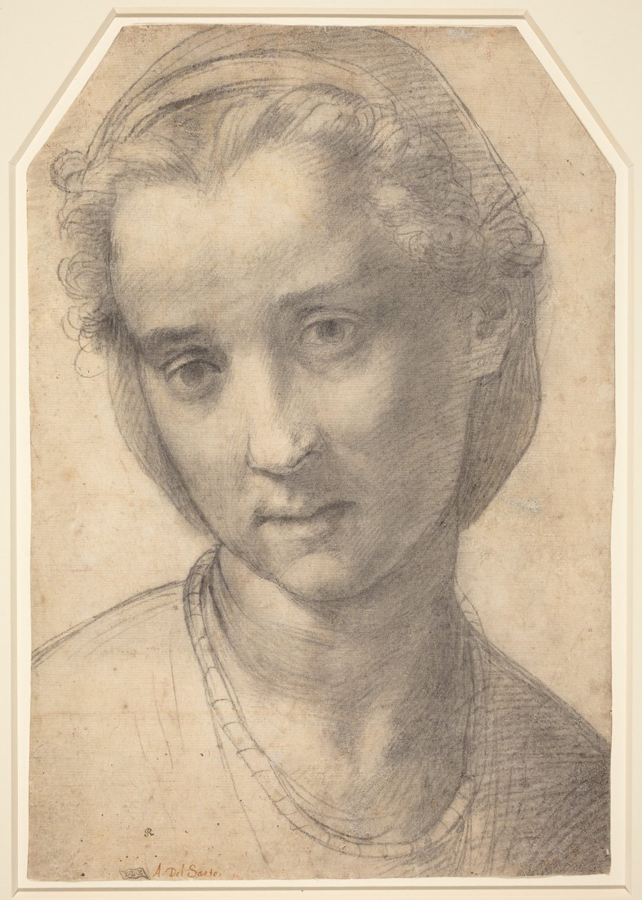 Hoofd van een vrouw door Andrea del Sarto