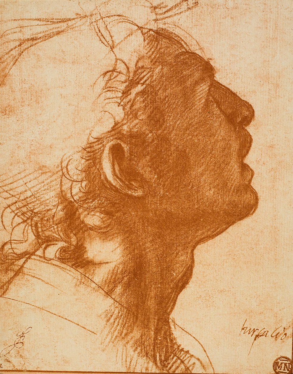 Mannelijk hoofd door Andrea del Sarto
