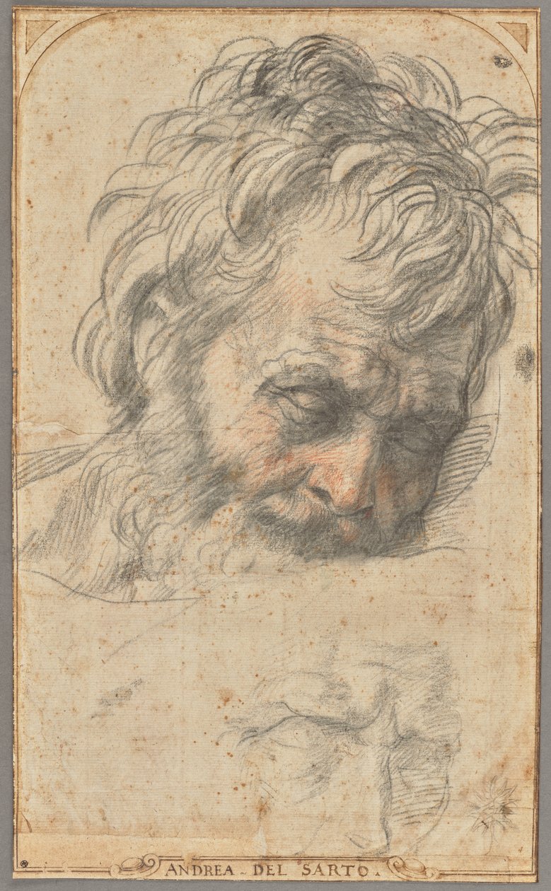 Studie voor het hoofd van de heilige Jozef (recto); Twee studies van benen (verso) door Andrea del Sarto