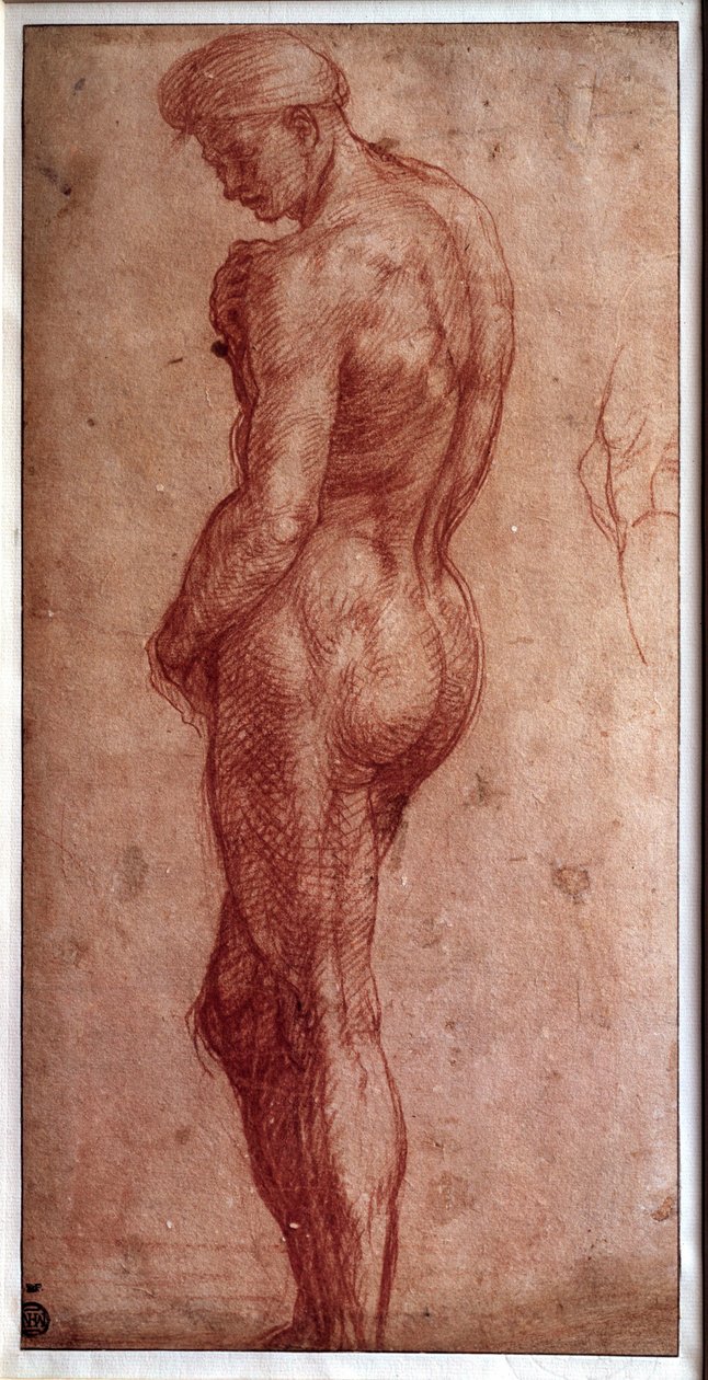 Studie van mannelijk naakt. Tekening a la sanguine door Andrea d