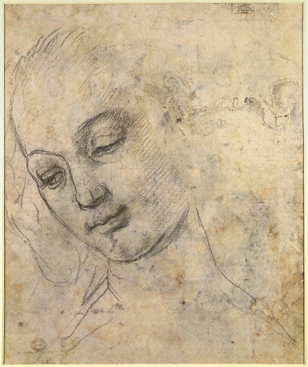 Portret van een vrouwenhoofd door Andrea del Verrocchio