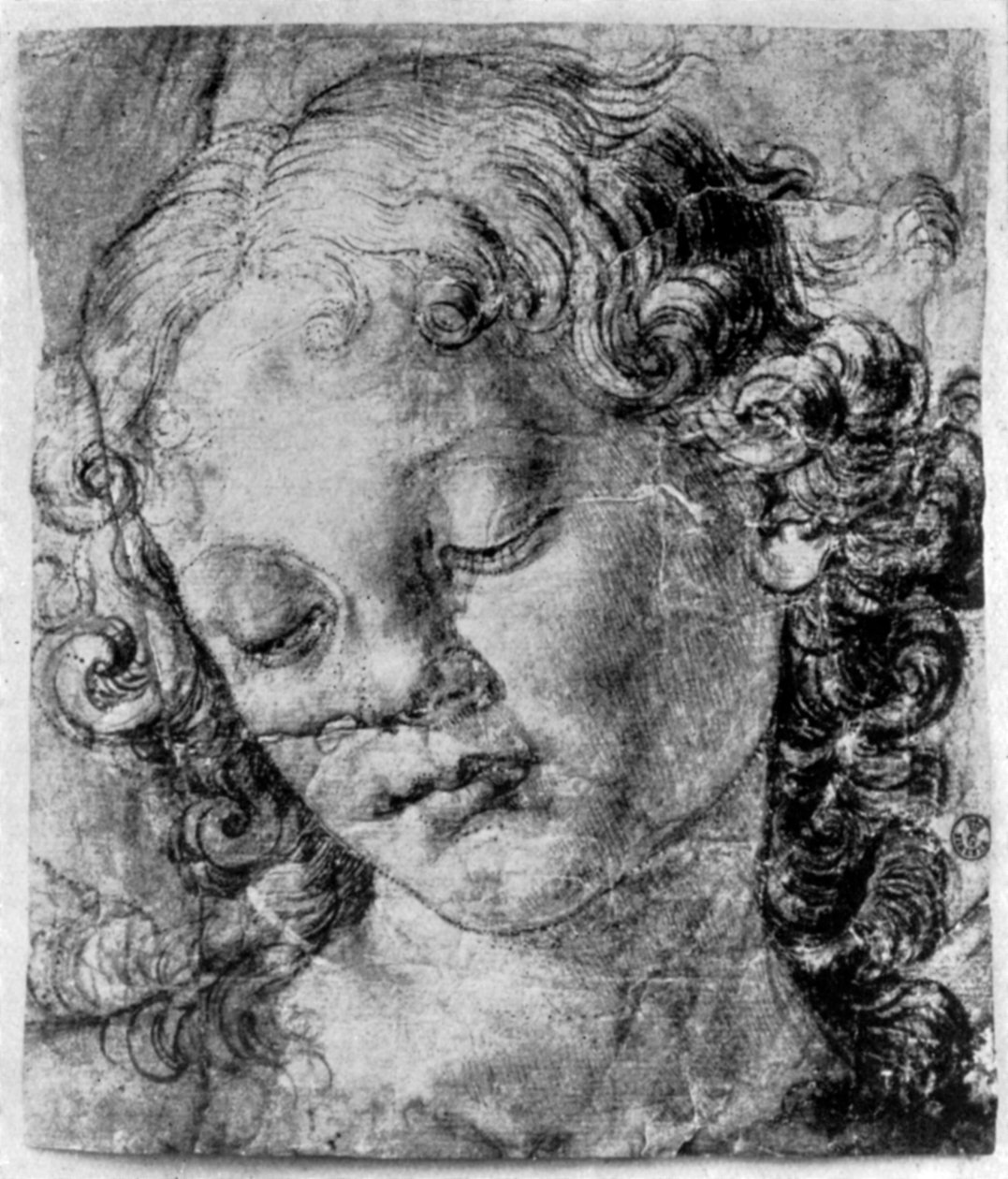 Het hoofd van een engel, 15e eeuw, 1930 door Andrea del Verrocchio