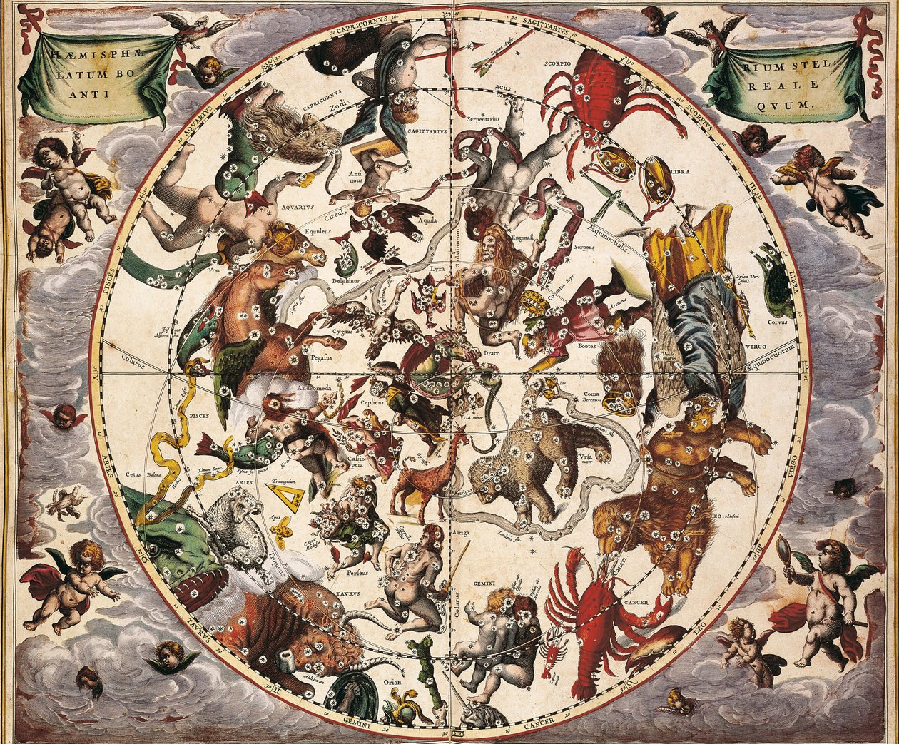 CELLARIUS, Andreas (1596-1665). Atlas Coelestis seu Harmonia Macrocosmica. 1661. Fol 24. Hemisphaerium stellatum boreale antiquum. Representatie van het Noordelijk Halfrond. Gedrukt in Amsterdam door Johannes Janssonius. Vroegmoderne Tijd. Gravure. SPANJE. door Andreas Cellarius