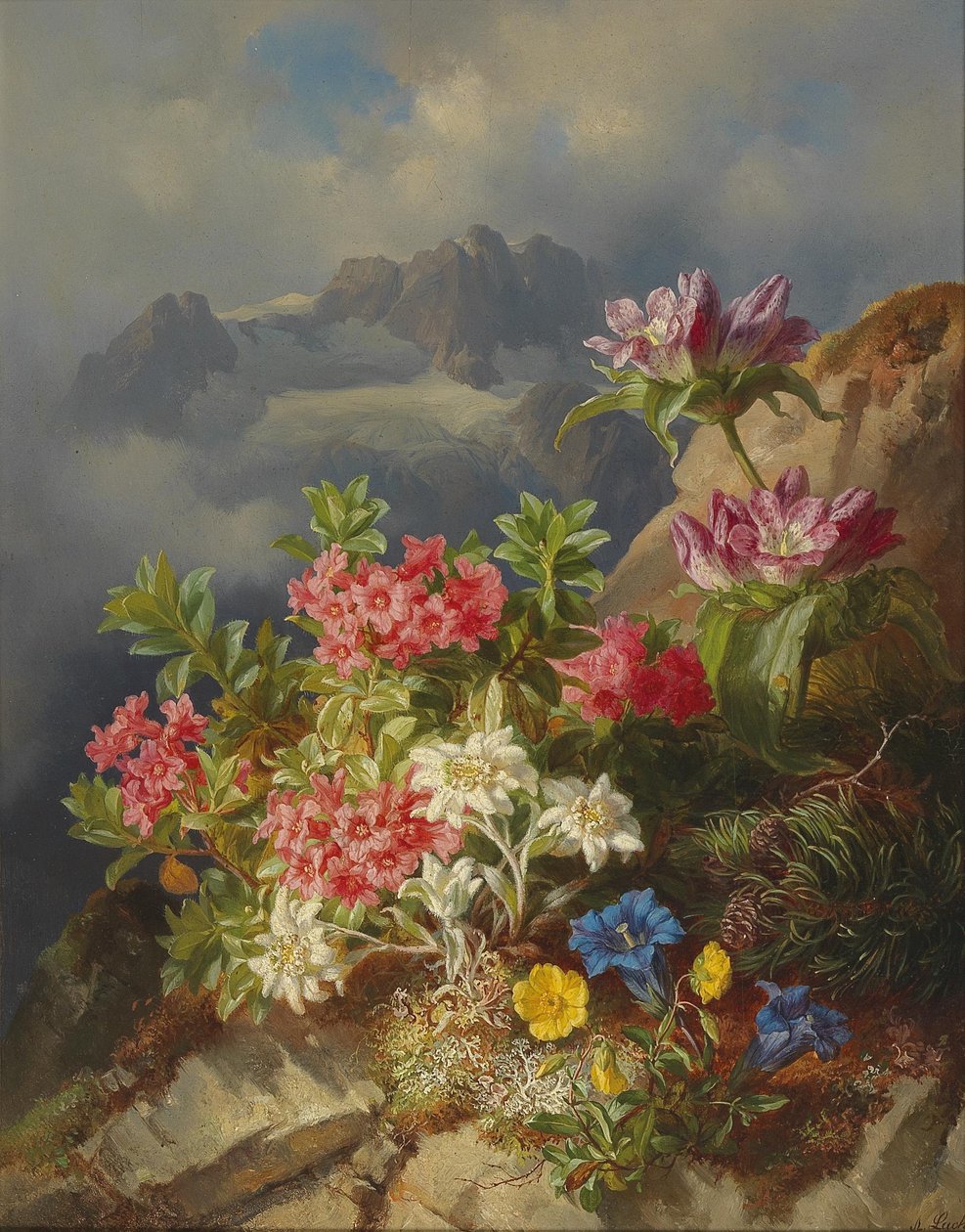 Stilleven met alpenbloemen door Andreas Lach