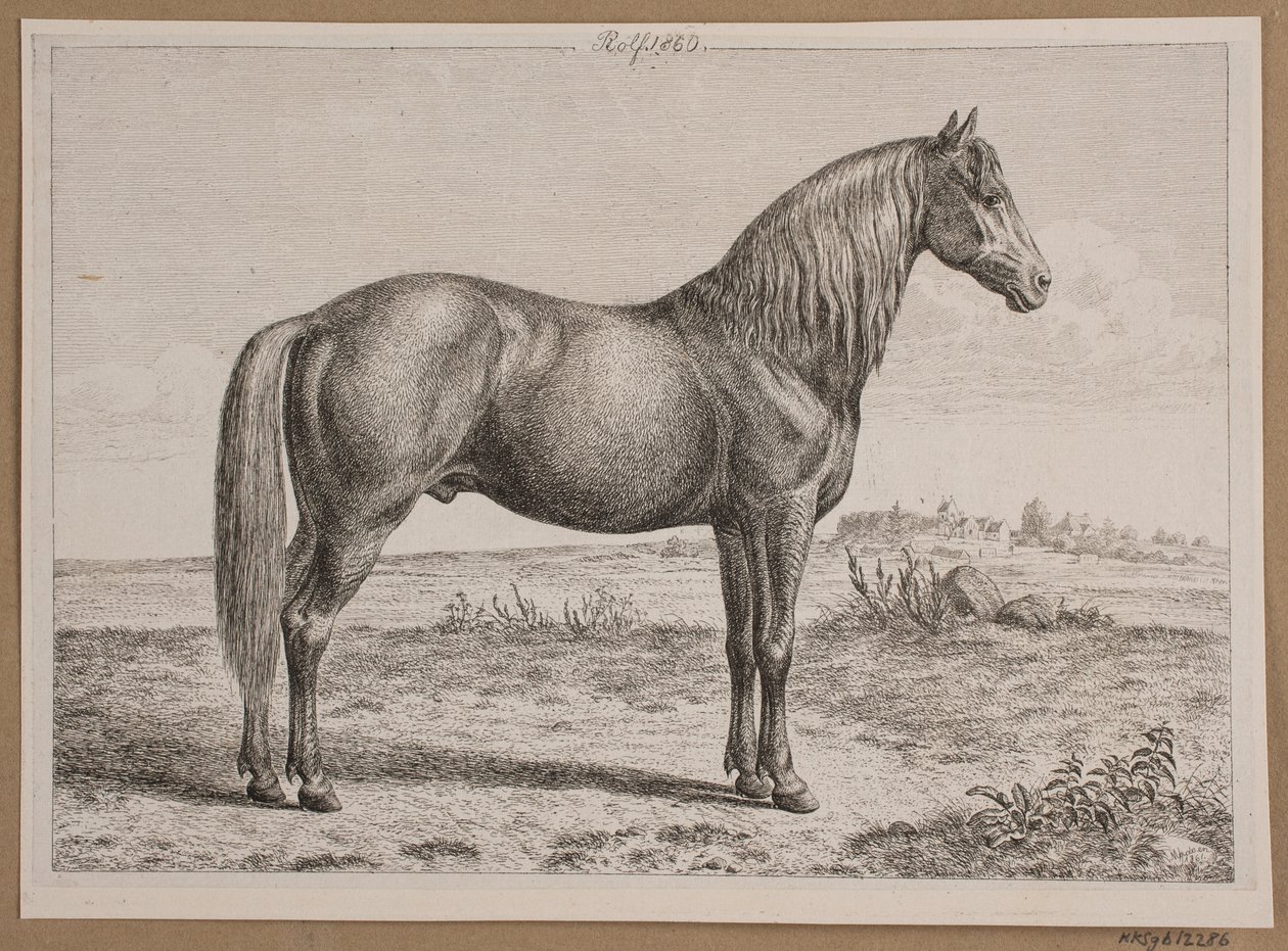 Rolf. Een paard in het veld door Andreas Peter Madsen