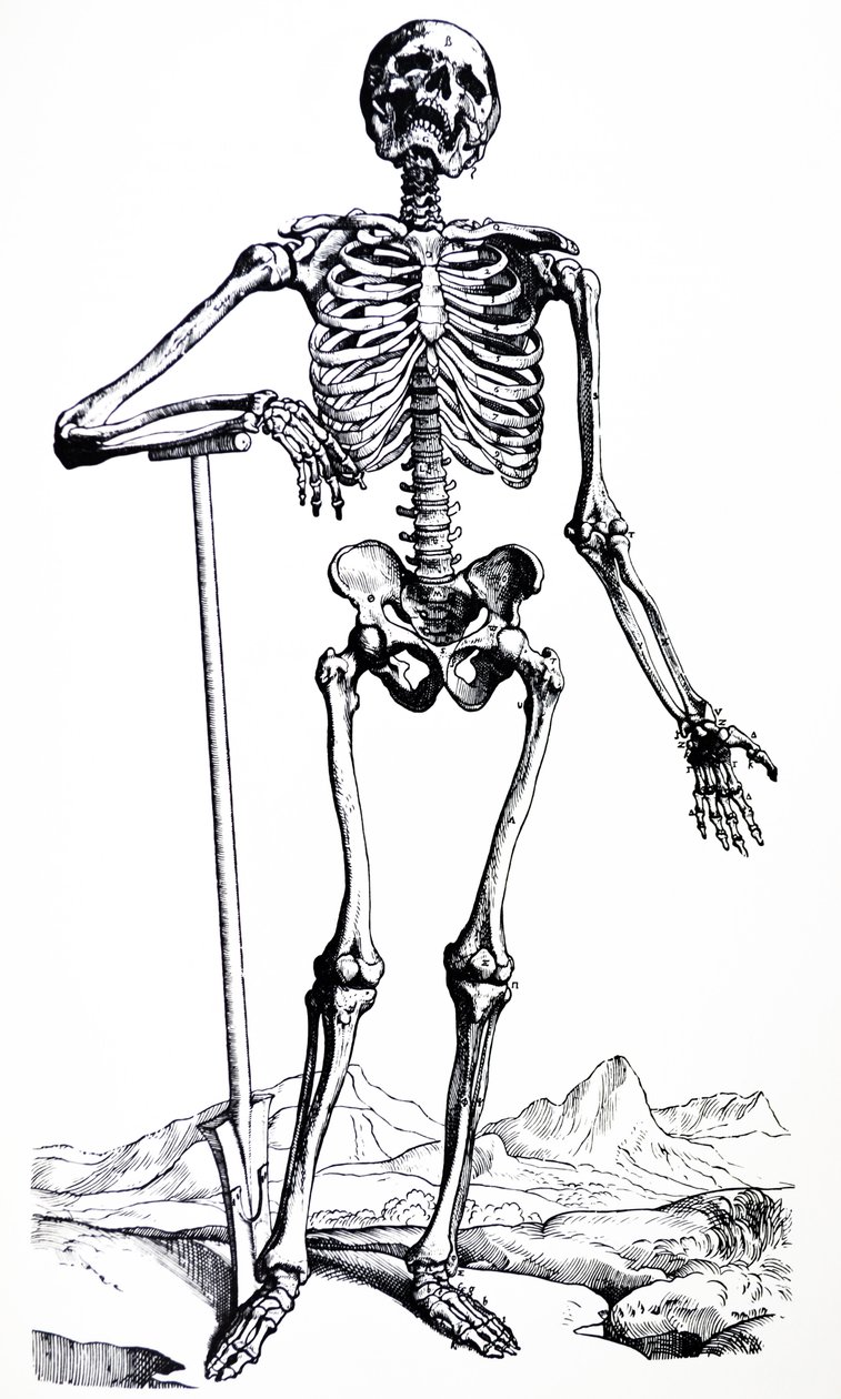 De platen uit het eerste boek van de De Humani Corporis Fabrica door Andreas Vesalius