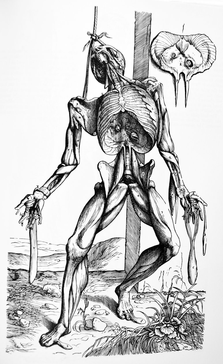 De Platen uit het Tweede Boek van de De Humani Corporis Fabrica door Andreas Vesalius