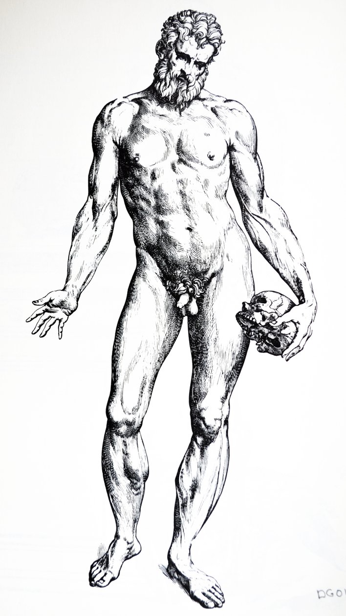 De platen uit het zevende boek van de De Humani Corporis Fabrica door Andreas Vesalius