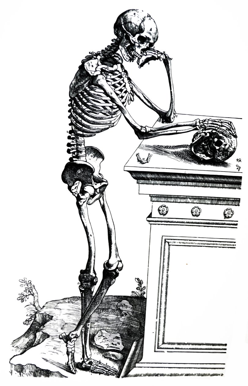 De platen uit het zevende boek van de De Humani Corporis Fabrica door Andreas Vesalius