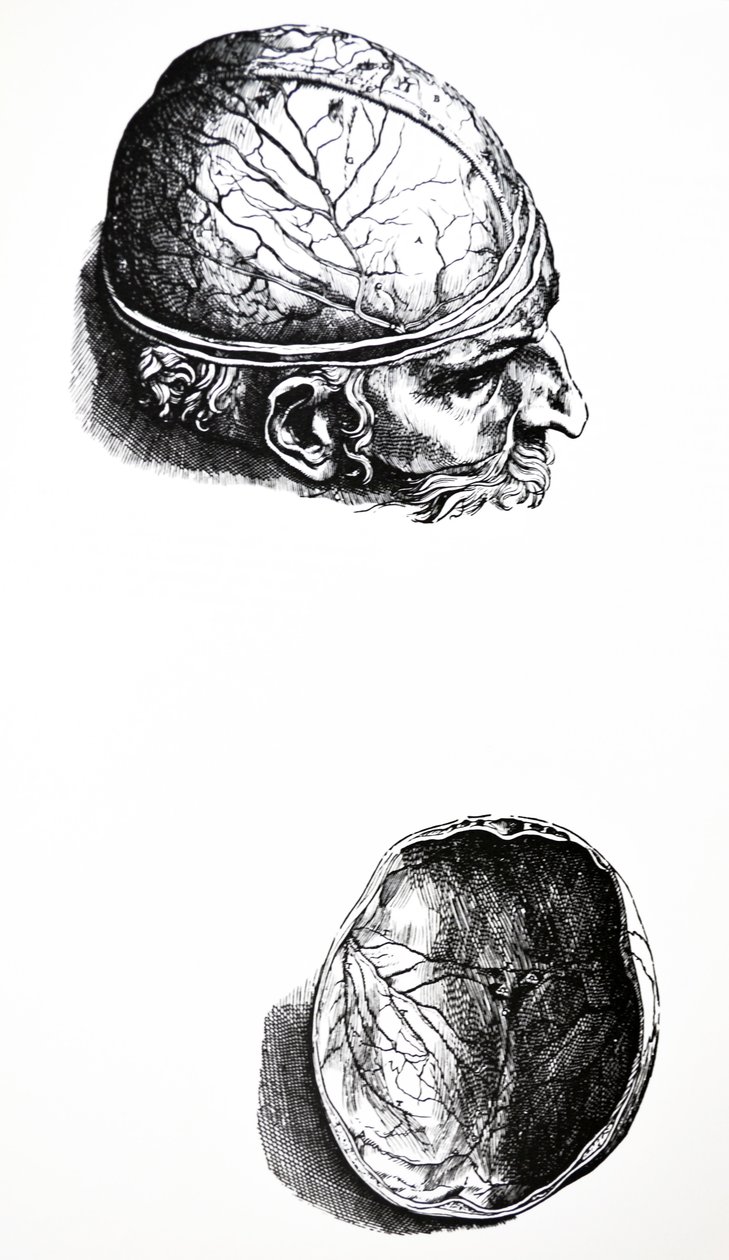 De Platen uit het Zevende Boek van de De Humani Corporis Fabrica door Andreas Vesalius
