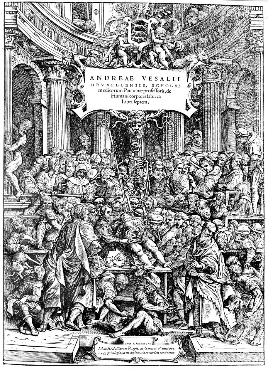 Titelpagina van Andreas Vesalius De Humani Corporis Fabrica, toont Vesalius die een lichaam ontleedt, 1543 door Andreas Vesalius