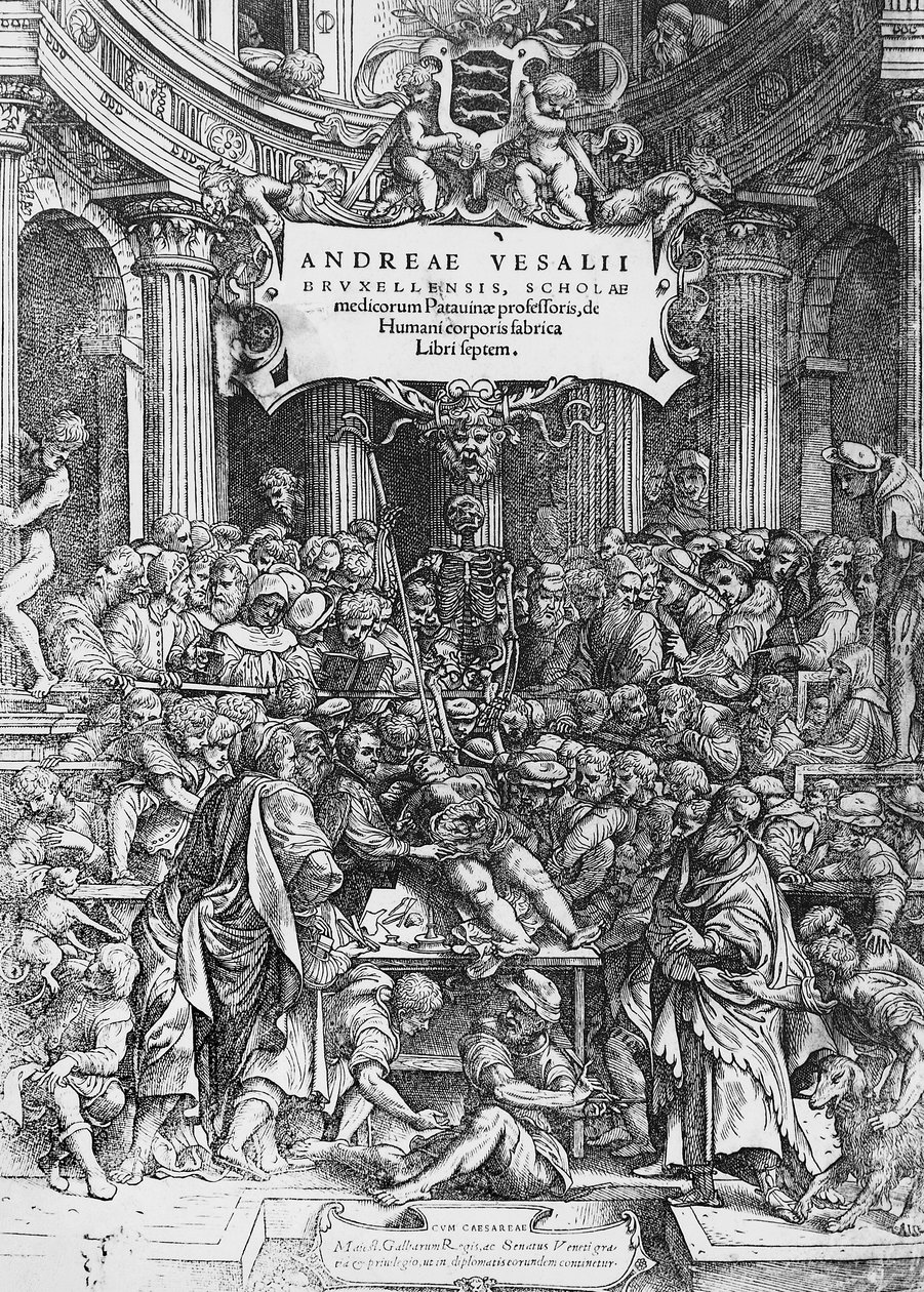Titelpagina van De humani corporis fabrica, waar Andreas Vesalius wordt afgebeeld terwijl hij een kadaver ontleedt door Andreas Vesalius