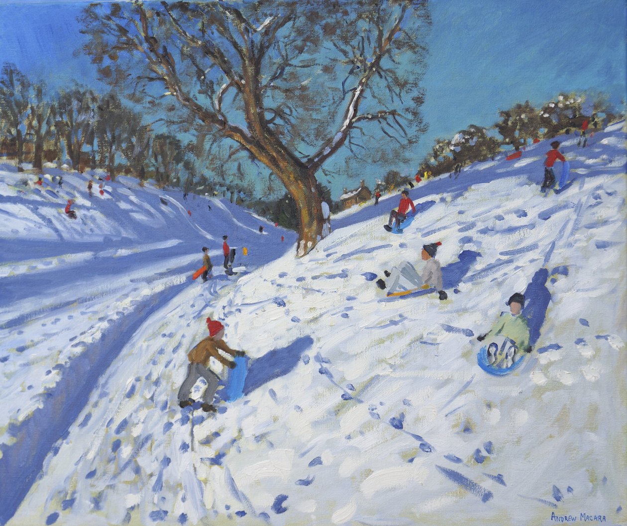 Heldere ochtend, Chatsworth, 2013 door Andrew Macara