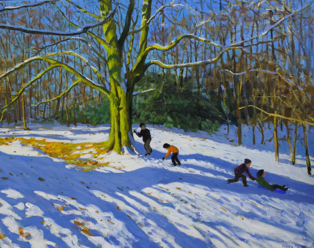 Detail van de top van Allestree Park (detail) door Andrew Macara