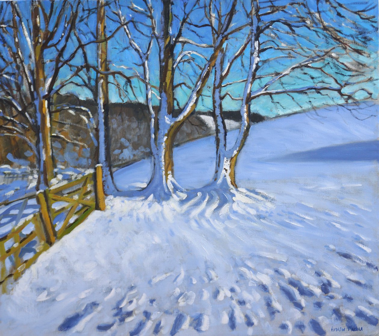 Poort en bomen, Winter, Dam Lane, Derbyshire, 2013 door Andrew Macara