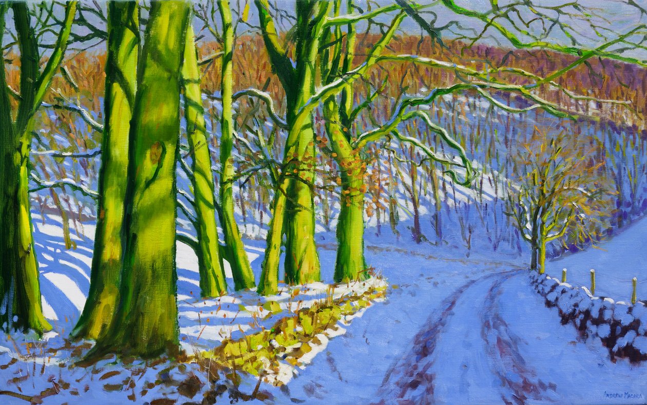 Groene bomen, winter; Dam Lane; Derbyshire door Andrew Macara