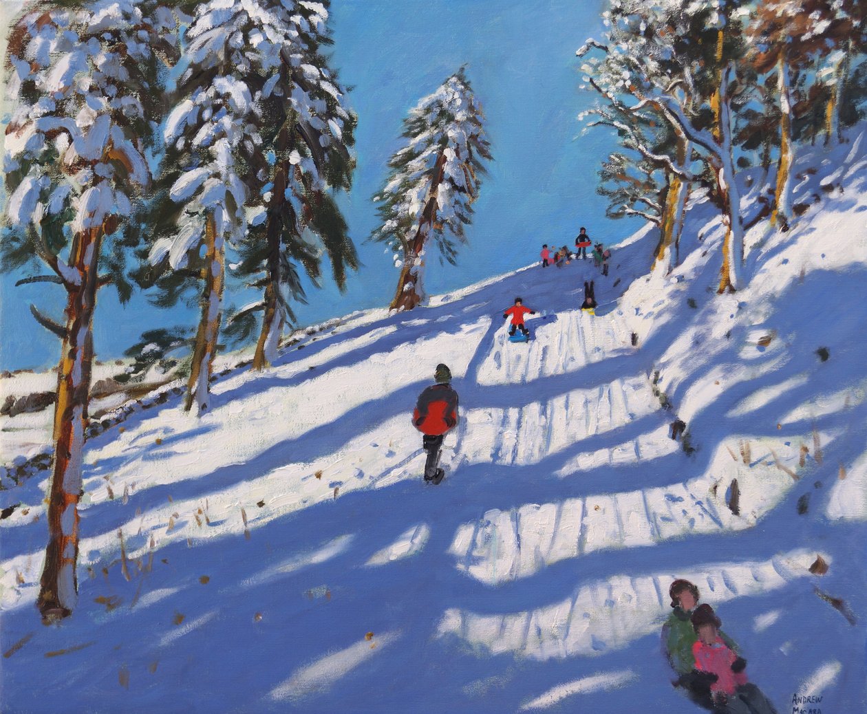 Sleetje rijden, Hillside, Glossop, 2015 door Andrew Macara