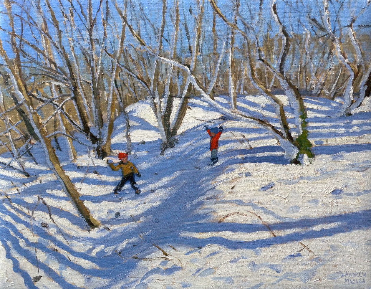 Lentesneeuw, Newhaven Derbyshire, 2008 door Andrew Macara