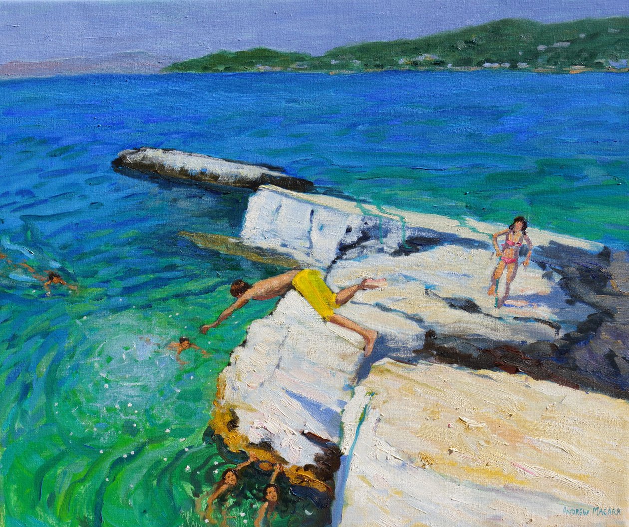 De Duiker, Platen Rots, Skiathos, Griekenland door Andrew Macara