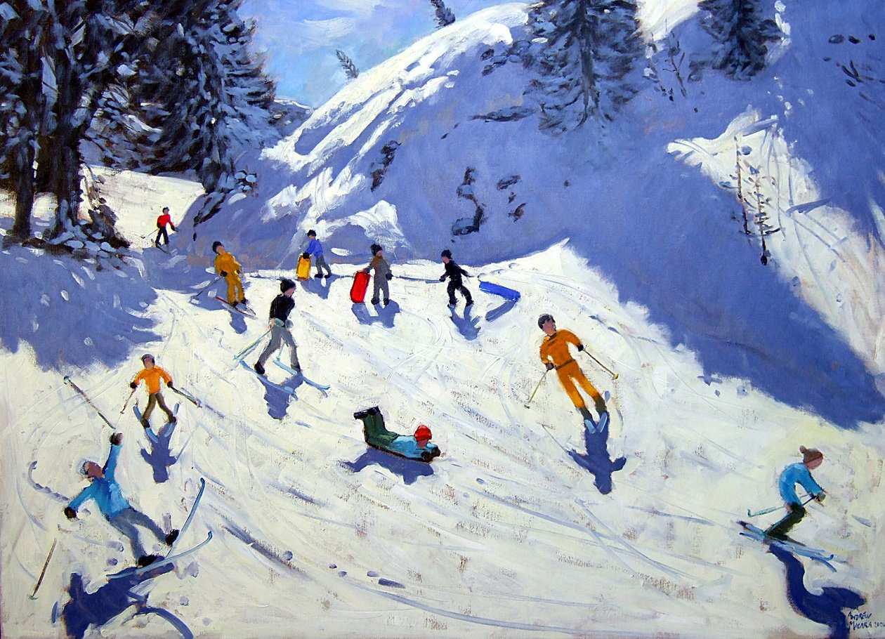 De kloof, Belle Plagne, 2004 door Andrew Macara