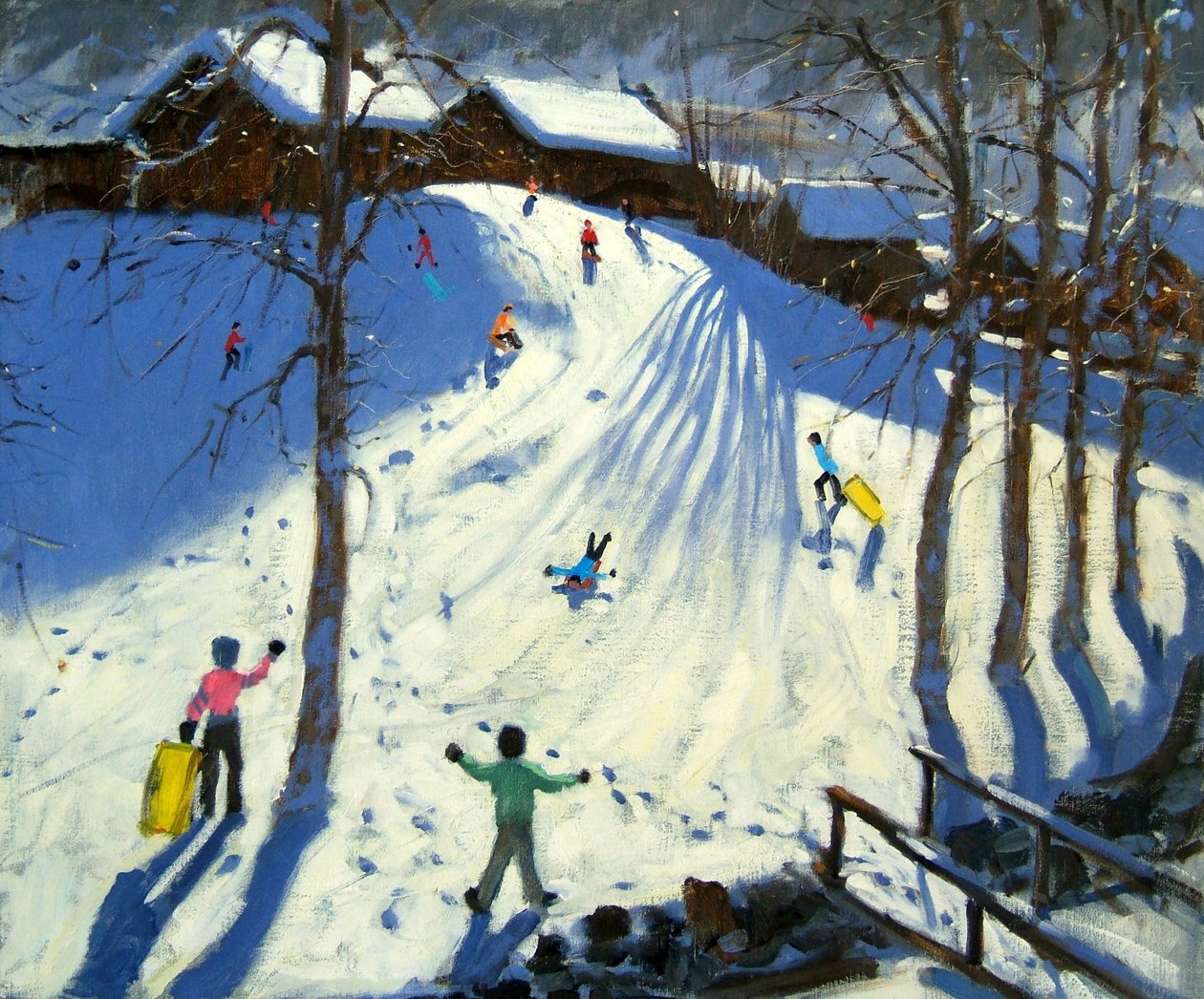 De voetgangersbrug, Morzine door Andrew Macara