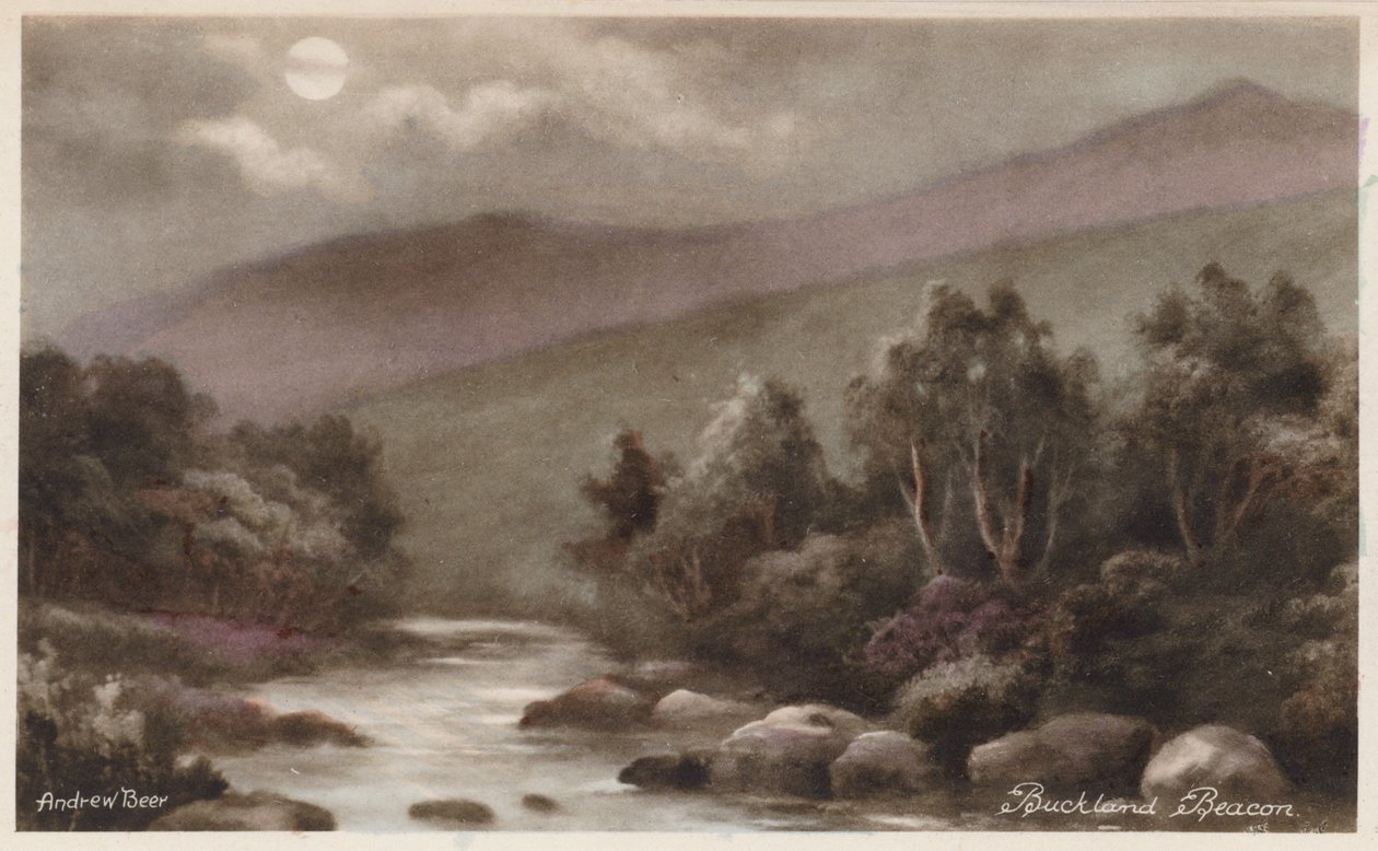 Dartmoor: Buckland Beacon (kleurenfoto) door Andrew Beer