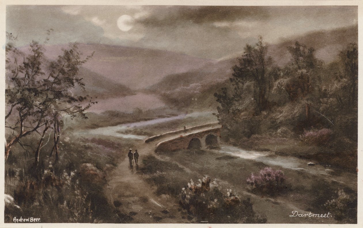 Dartmoor: Dartmeet (kleurenfoto) door Andrew Beer