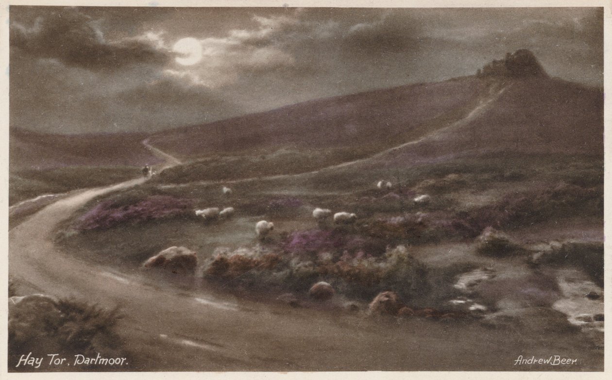 Hay Tor, Dartmoor (kleurenfoto) door Andrew Beer