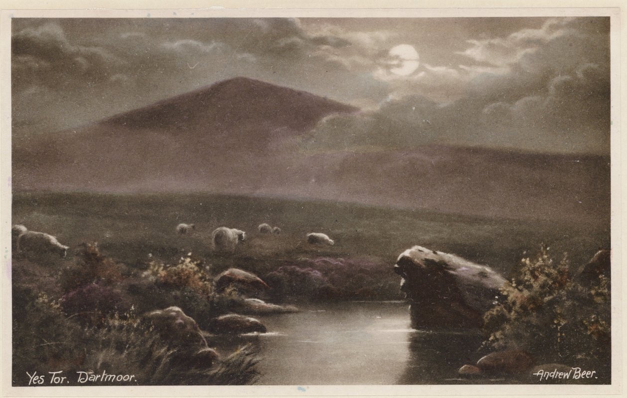Yes Tor, Dartmoor (kleurenfoto) door Andrew Beer