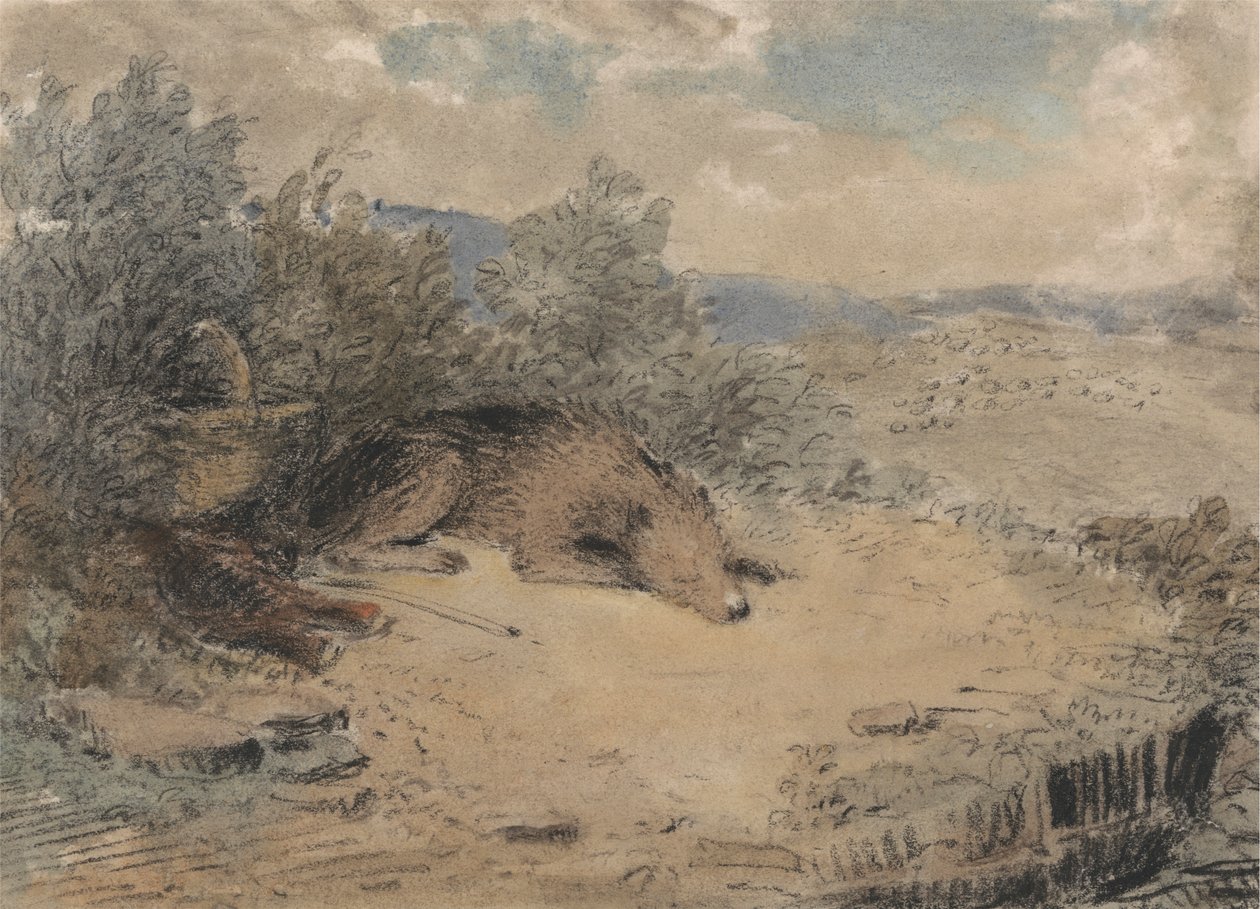 Schaapshond slapend in een landschap door Andrew Geddes