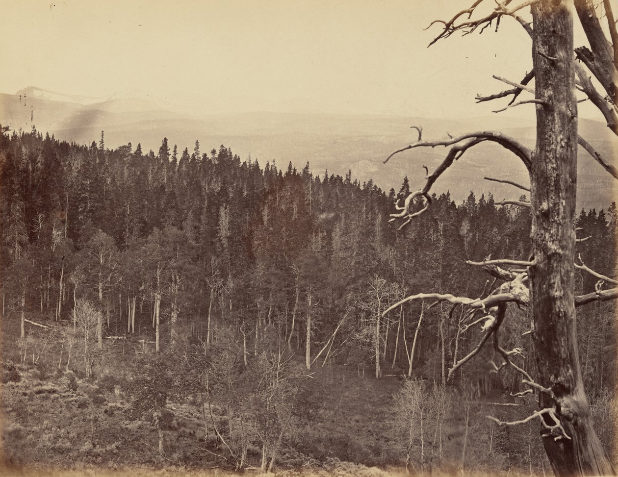 Plaat 13. Sneeuw en houtlijn, Laramie Mountains,1869 (foto) door Andrew Joseph Russell
