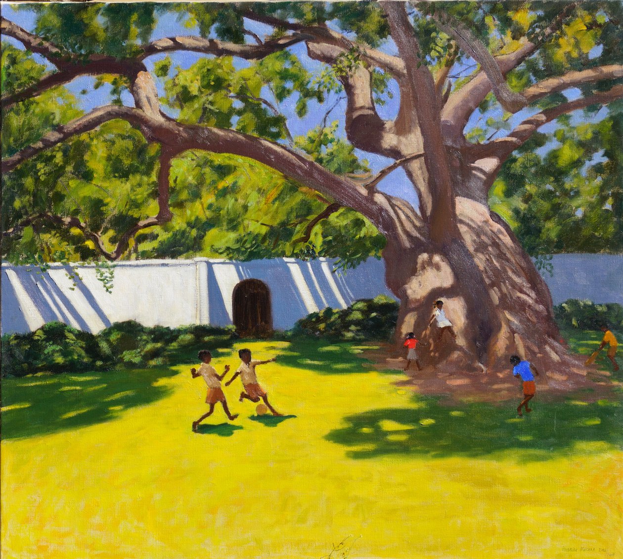 Oude kamferboom, Vergelegen Estate, Zuid-Afrika door Andrew Macara