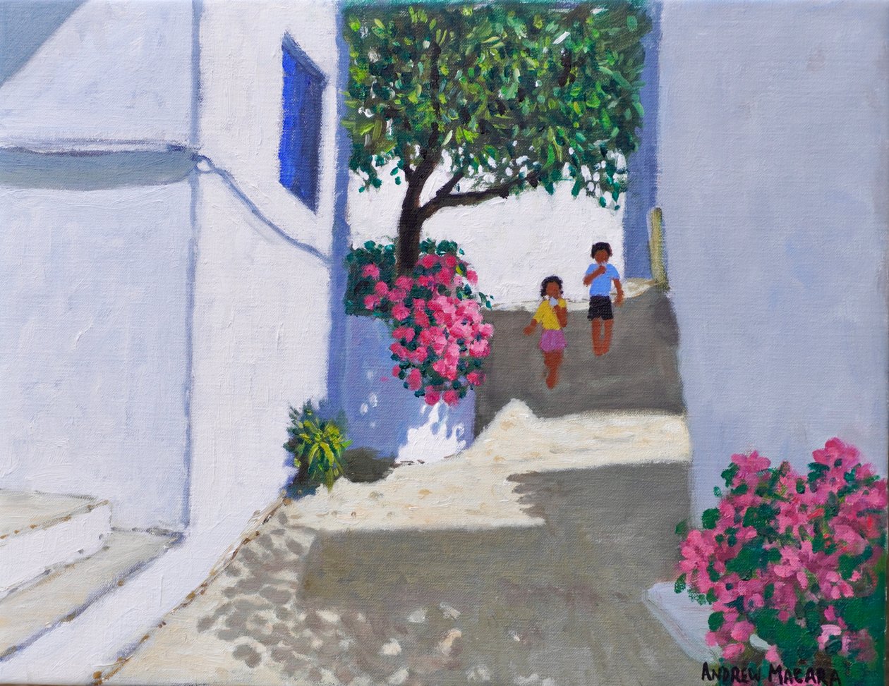  door Andrew Macara
