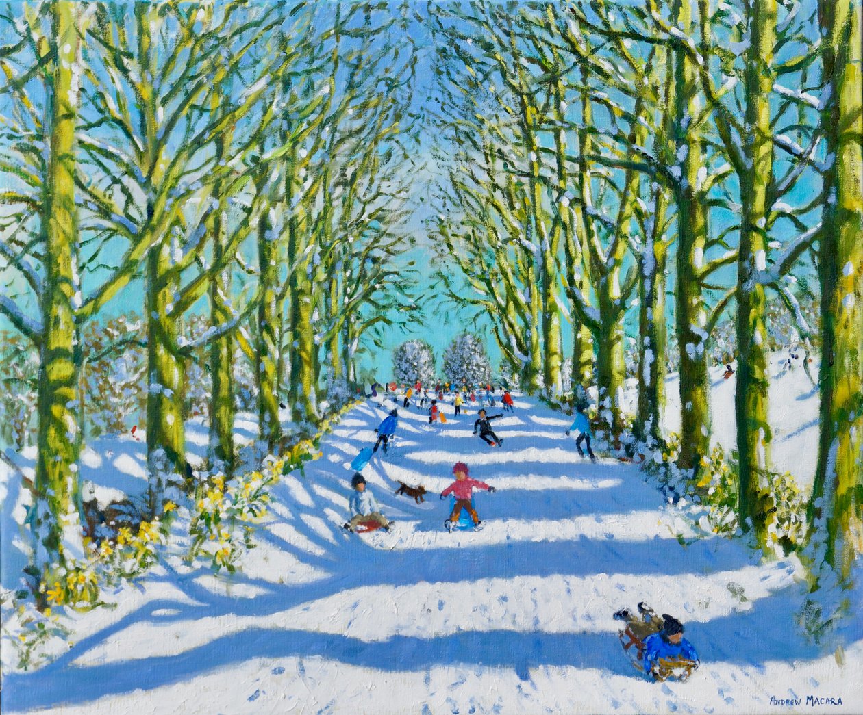 Plezier in de zon en sneeuw, Derby door Andrew Macara