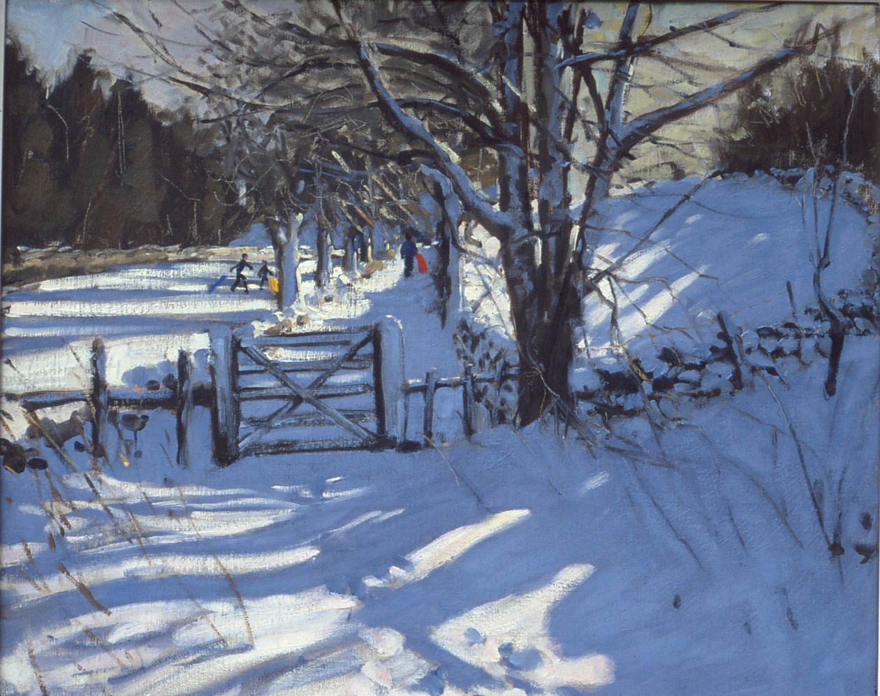 Poort bij Youlgreave, Derbyshire door Andrew Macara