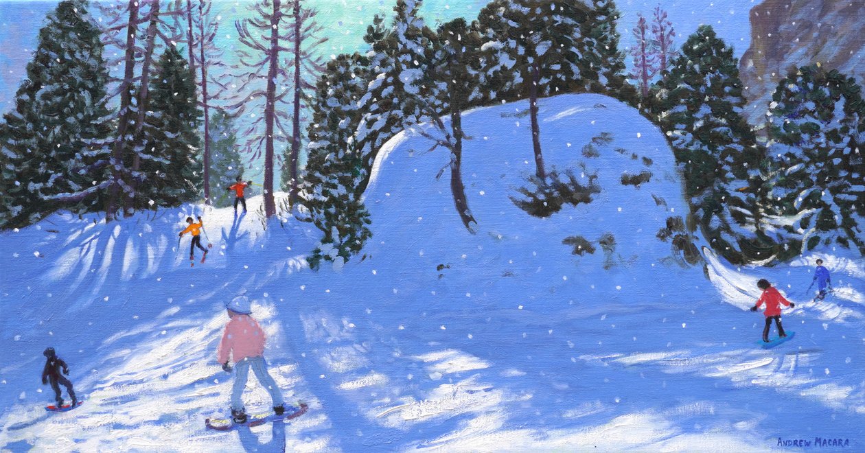 Rock City, Val Gardena, Italië, 2020 (olieverf op doek) door Andrew Macara