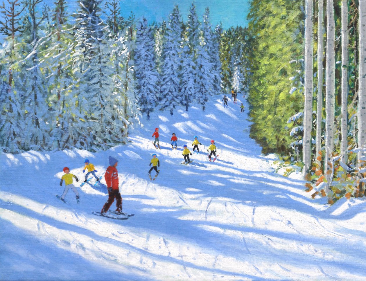 Skiles, Samoëns, Frankrijk, 2020 door Andrew Macara