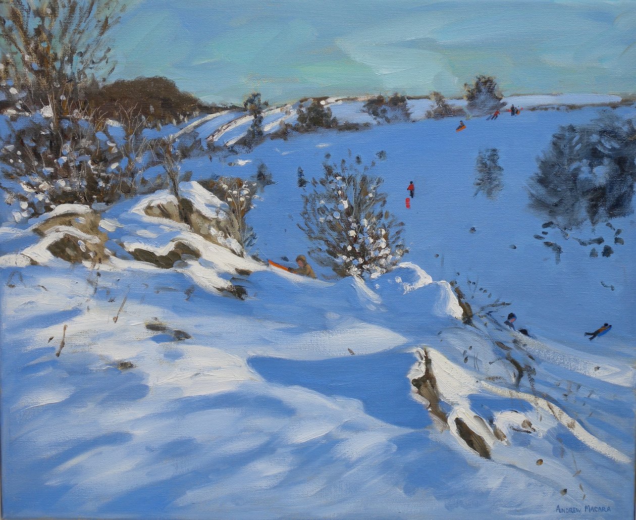 Sleeën, Derbyshire, 2011 door Andrew Macara